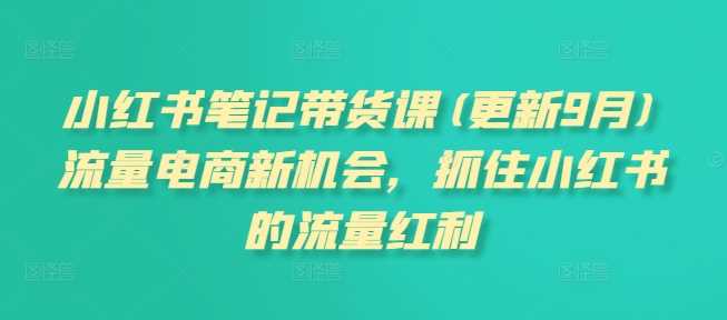 小红书笔记带货课(更新12月)流量电商新机会，抓住小红书的流量红利_陌咲网