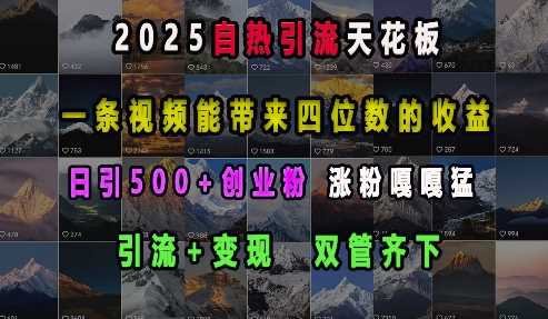 2025自热引流天花板，一条视频能带来四位数的收益，引流 变现双管齐下，日引500 创业粉，涨粉嘎嘎猛_陌咲网