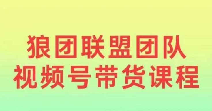 狼团联盟2024视频号带货，0基础小白快速入局视频号_陌咲网