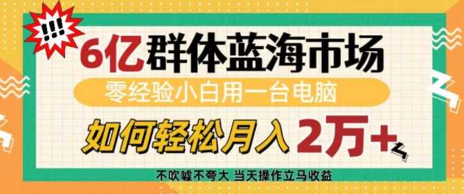 6亿群体蓝海市场，零经验小白用一台电脑，如何轻松月入过w【揭秘】_陌咲网