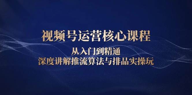 视频号运营核心课程，从入门到精通，深度讲解推流算法与排品实操玩_陌咲网