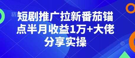 短剧推广拉新番茄锚点半月收益1万 大佬分享实操_陌咲网