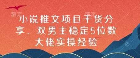 小说推文项目干货分享，双男主稳定5位数大佬实操经验_陌咲网