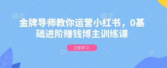 金牌导师教你运营小红书，0基础进阶赚钱博主训练课_陌咲网