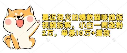最近很火的爆款猫咪做饭视频拆解，小白一周涨粉2万，单条10万 播放(附保姆级教程)_陌咲网