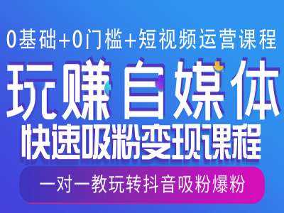 0基础 0门槛 短视频运营课程，玩赚自媒体快速吸粉变现课程，一对一教玩转抖音吸粉爆粉_陌咲网
