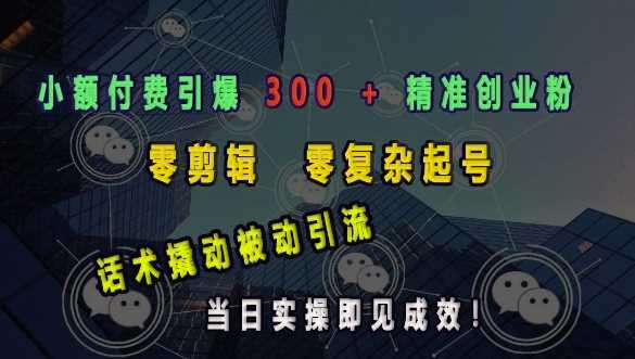 小额付费引爆 300   精准创业粉，零剪辑、零复杂起号，话术撬动被动引流，当日实操即见成效_陌咲网