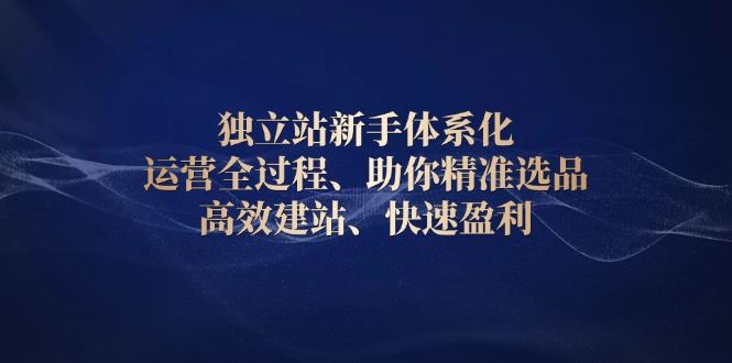 （13914期）独立站新手体系化 运营全过程，助你精准选品、高效建站、快速盈利_陌咲网