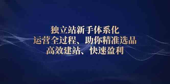 独立站新手体系化 运营全过程，助你精准选品、高效建站、快速盈利_陌咲网