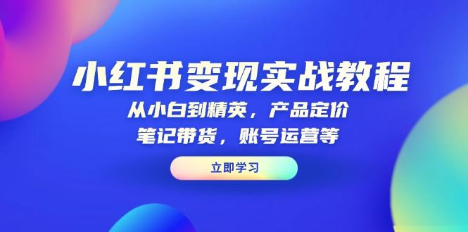 （13923期）小红书变现实战教程：从小白到精英，产品定价，笔记带货，账号运营等_陌咲网