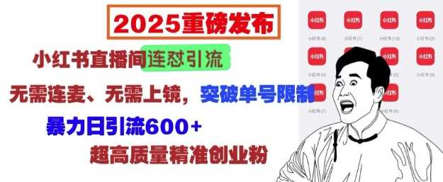 2025重磅发布：小红书直播间连怼引流，无需连麦、无需上镜，突破单号限制，暴力日引流600_陌咲网