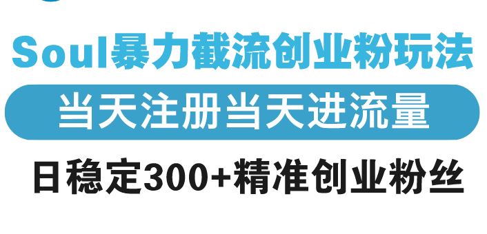 （13935期）Soul暴力截流创业粉玩法，当天注册当天进流量，日稳定300 精准创业粉丝_陌咲网