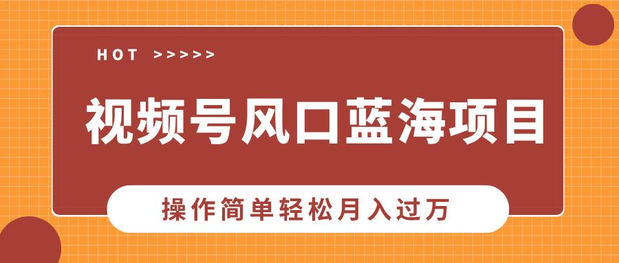 （13945期）视频号风口蓝海项目，中老年人的流量密码，操作简单轻松月入过万_陌咲网