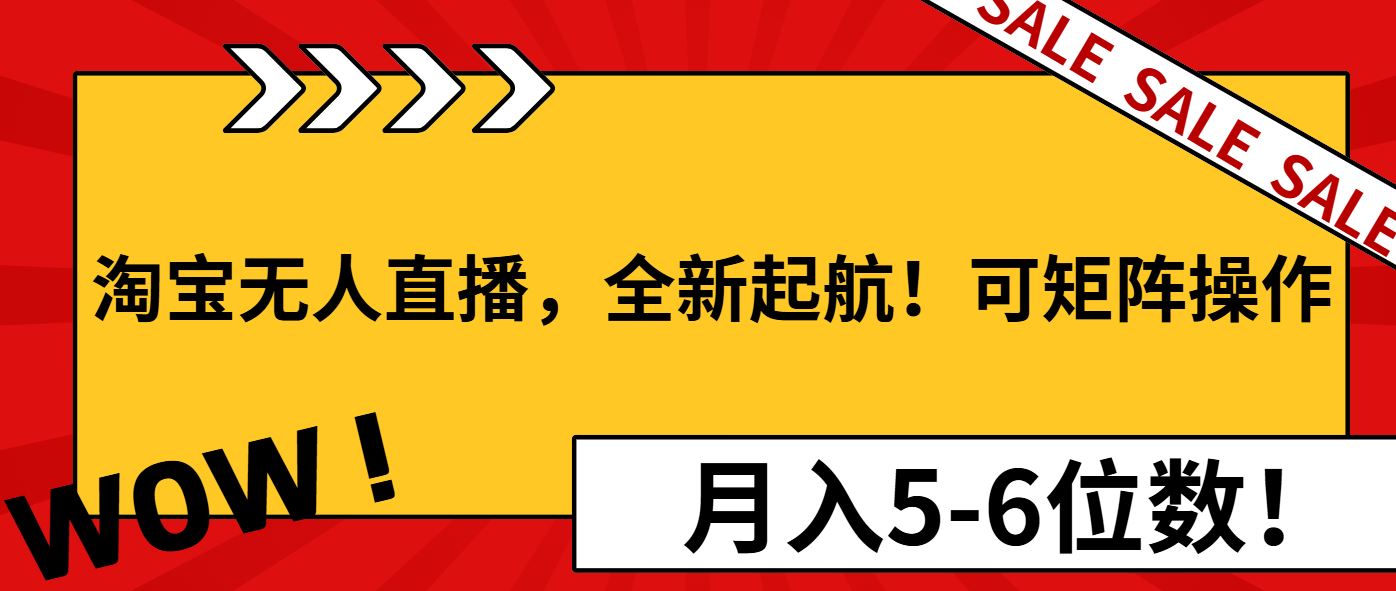（13946期）淘宝无人直播，全新起航！可矩阵操作，月入5-6位数！_陌咲网