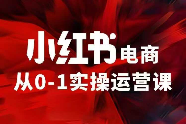 小红书电商运营，97节小红书vip内部课，带你实现小红书赚钱_陌咲网