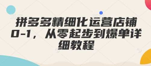 拼多多精细化运营店铺0-1，从零起步到爆单详细教程_陌咲网