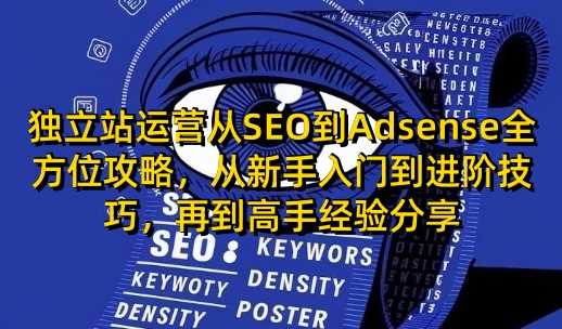 独立站运营从SEO到Adsense全方位攻略，从新手入门到进阶技巧，再到高手经验分享_陌咲网