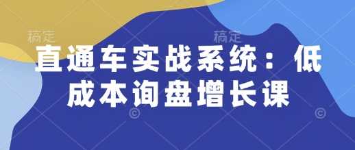 直通车实战系统：低成本询盘增长课，让个人通过技能实现升职加薪，让企业低成本获客，订单源源不断_陌咲网