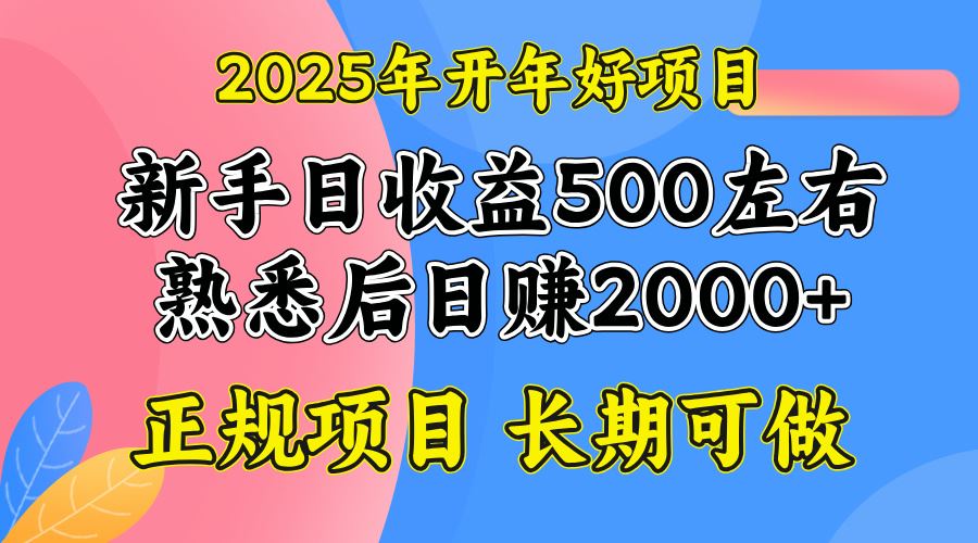 （14076期）2025开年好项目，单号日收益2000左右_陌咲网