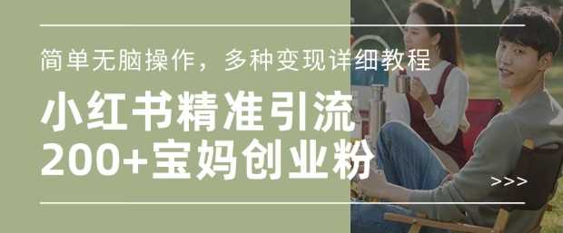 小红书混剪日引200 宝妈创业粉，简单无脑操作，多种变现详细教程_陌咲网