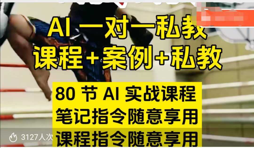 AI指令实战课，课程 案例，80节AI实战课程，笔记指令随意享用，课程指令随意享用_陌咲网