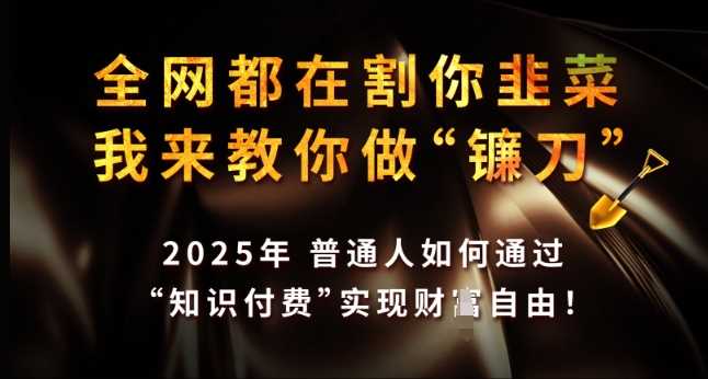 全网都在割你韭菜，我来教你做镰刀，2025年普通人如何通过 知识付费 实现财F自由【揭秘】_陌咲网