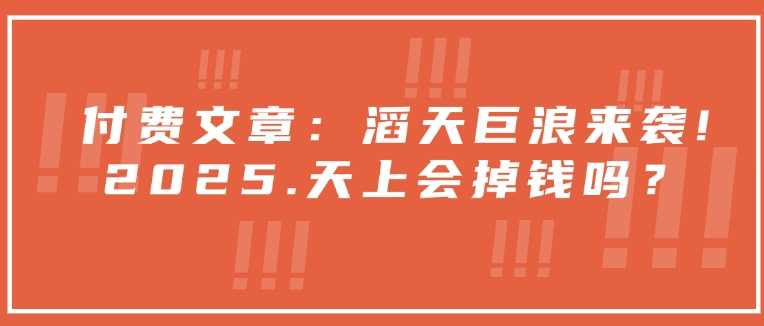 付费文章：滔天巨浪来袭！2025天上会掉钱吗？_陌咲网