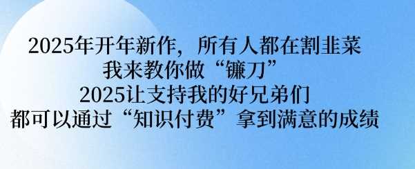2025年开年新作，所有人都在割韭菜，我来教你做“镰刀” 2025让支持我的好兄弟们都可以通过“知识付费”拿到满意的成绩【揭秘】_陌咲网