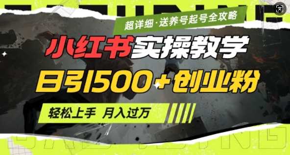 2月小红书最新日引500 创业粉实操教学【超详细】小白轻松上手，月入1W ，附小红书养号起号SOP_陌咲网