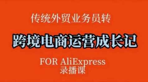 跨境电商速卖通运营课，?运营方法论 后台实操，逻辑清晰_陌咲网