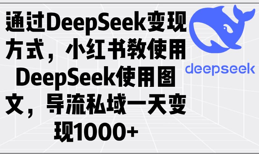 （14179期）通过DeepSeek变现方式，小红书教使用DeepSeek图文，导流私域一天变现1000_陌咲网