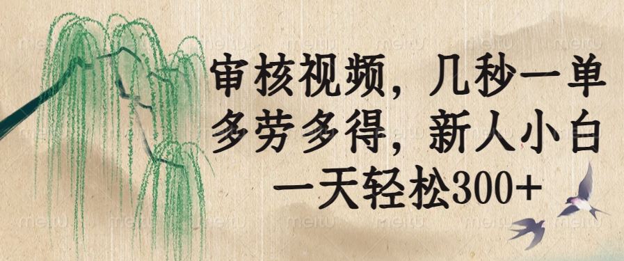 （14202期）审核视频，几秒一单，多劳多得，新人小白一天轻松300_陌咲网