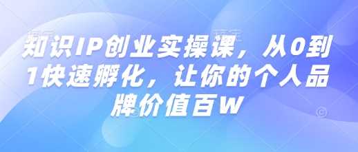 知识IP创业实操课，从0到1快速孵化，让你的个人品牌价值百W_陌咲网