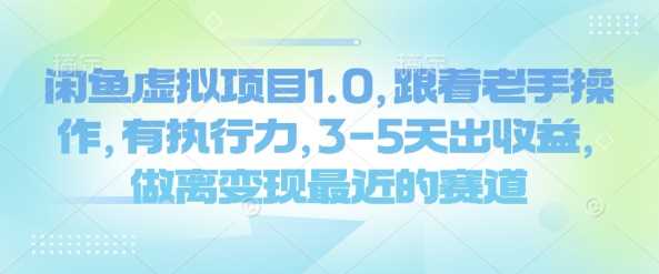 闲鱼虚拟项目1.0，跟着老手操作，有执行力，3-5天出收益，做离变现最近的赛道_陌咲网