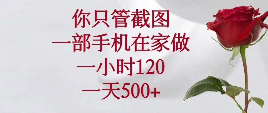 （14248期）你只管截图，一部手机在家做，一小时120，一天500_陌咲网