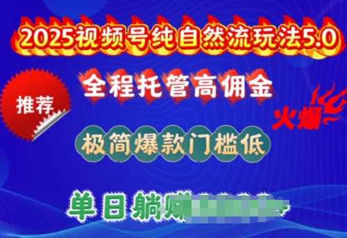 2025视频号纯自然流玩法5.0，全程托管高佣金，极简爆款门槛低，单日收益多张【揭秘】_陌咲网