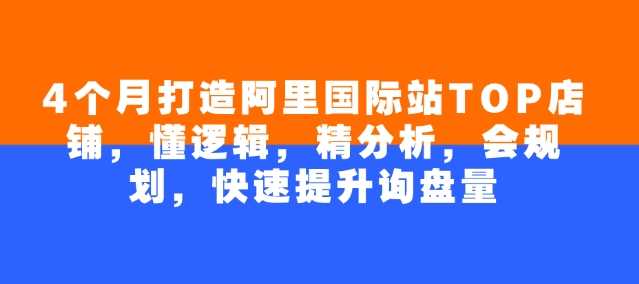 4个月打造阿里国际站TOP店铺，懂逻辑，精分析，会规划，快速提升询盘量_陌咲网
