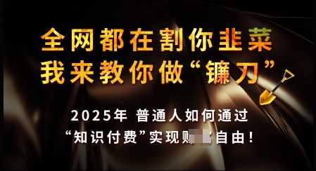 知识付费如何做到月入过W ，2025我来教你做“镰刀”【揭秘】_陌咲网