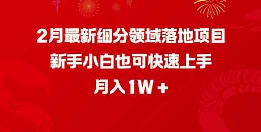 2月最新细分领域落地项目，新手小白也可快速上手，月入1W_陌咲网