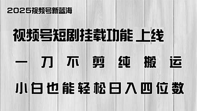 （14310期）视频号短剧挂载功能上线，一刀不剪纯搬运，小白也能轻松日入四位数_陌咲网