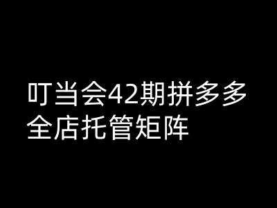 叮当会拼多多打爆班原创高阶技术第42期，拼多多全店托管矩阵_陌咲网