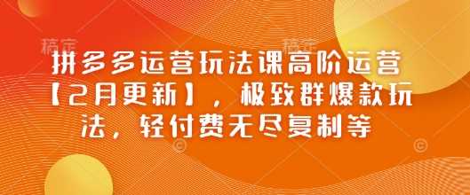 拼多多运营玩法课高阶运营【2月更新】，极致群爆款玩法，轻付费无尽复制等_陌咲网