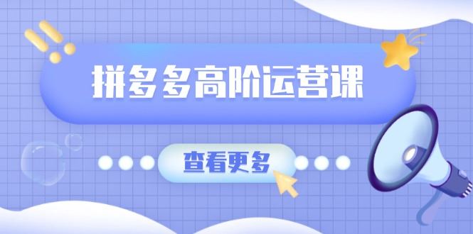 （14327期）拼多多高阶运营课：极致群爆款玩法，轻付费无尽复制，打造单品爆款之路_陌咲网