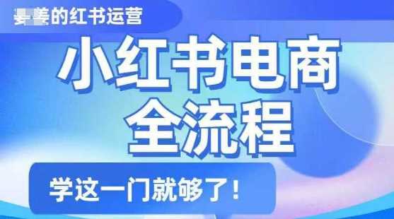 小红书电商全流程，精简易懂，从入门到精通，学这一门就够了_陌咲网