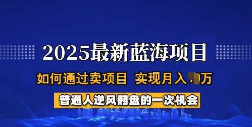 2025蓝海项目，普通人如何通过卖项目，实现月入过W，全过程【揭秘】_陌咲网