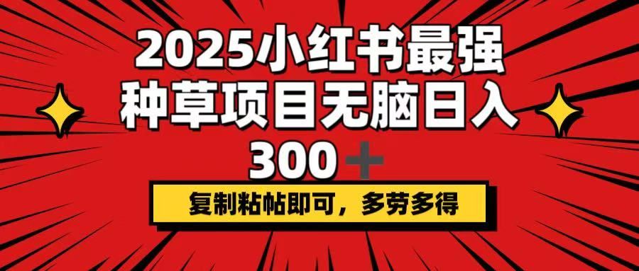 （14375期）2025小红书最强种草项目，无脑日入300 ，复制粘帖即可，多劳多得_陌咲网