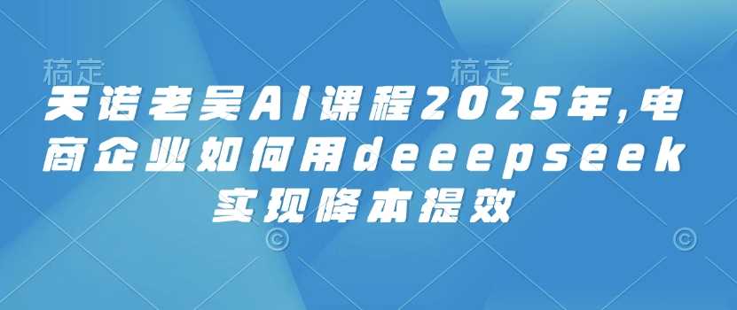 天诺老吴AI课程2025年，电商企业如何用deeepseek实现降本提效_陌咲网
