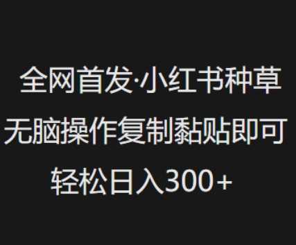 全网首发，小红书种草无脑操作，复制黏贴即可，轻松日入3张_陌咲网