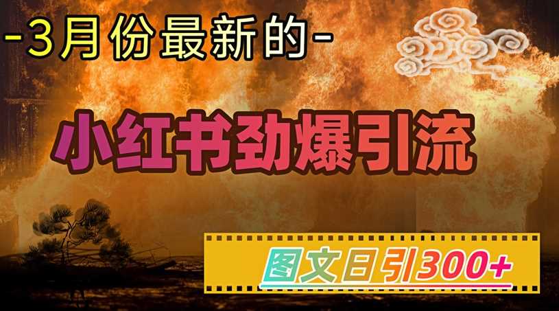 小红书超劲爆引流手段，图文日引300 轻松变现1W_陌咲网