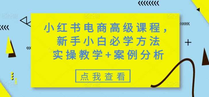 小红书电商高级课程，新手小白必学方法，实操教学 案例分析_陌咲网